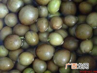 黄皮干制作方法简单