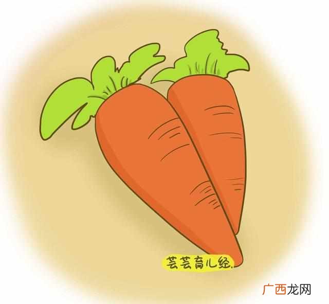 软食有哪些,软字和轮字有什么组词？