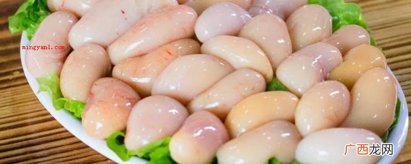 雄鸡 鸡子就是指鸡的男性睾丸 什么是鸡子