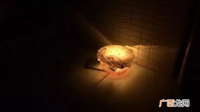 蚊子喜欢臭味还是香味,蚊子为什么喜欢臭臭的味道？
