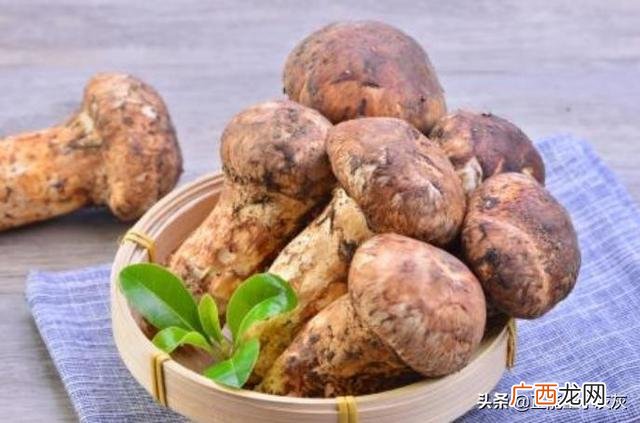 松茸怎么保存,松茸能保存多久？