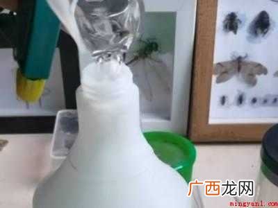 家里发现蜈蚣怎么防治
