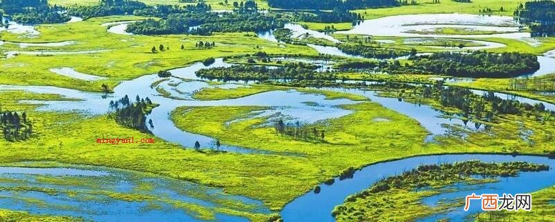 湿地可调节降雨量不均匀所产生的洪涝灾害与旱灾 湿地对地球有什么作用