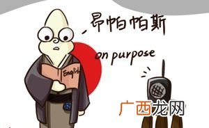 SAPULIZE奇妙语言表达 日式英语是什么梗