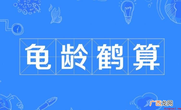 龟龄鹤算是什么意思