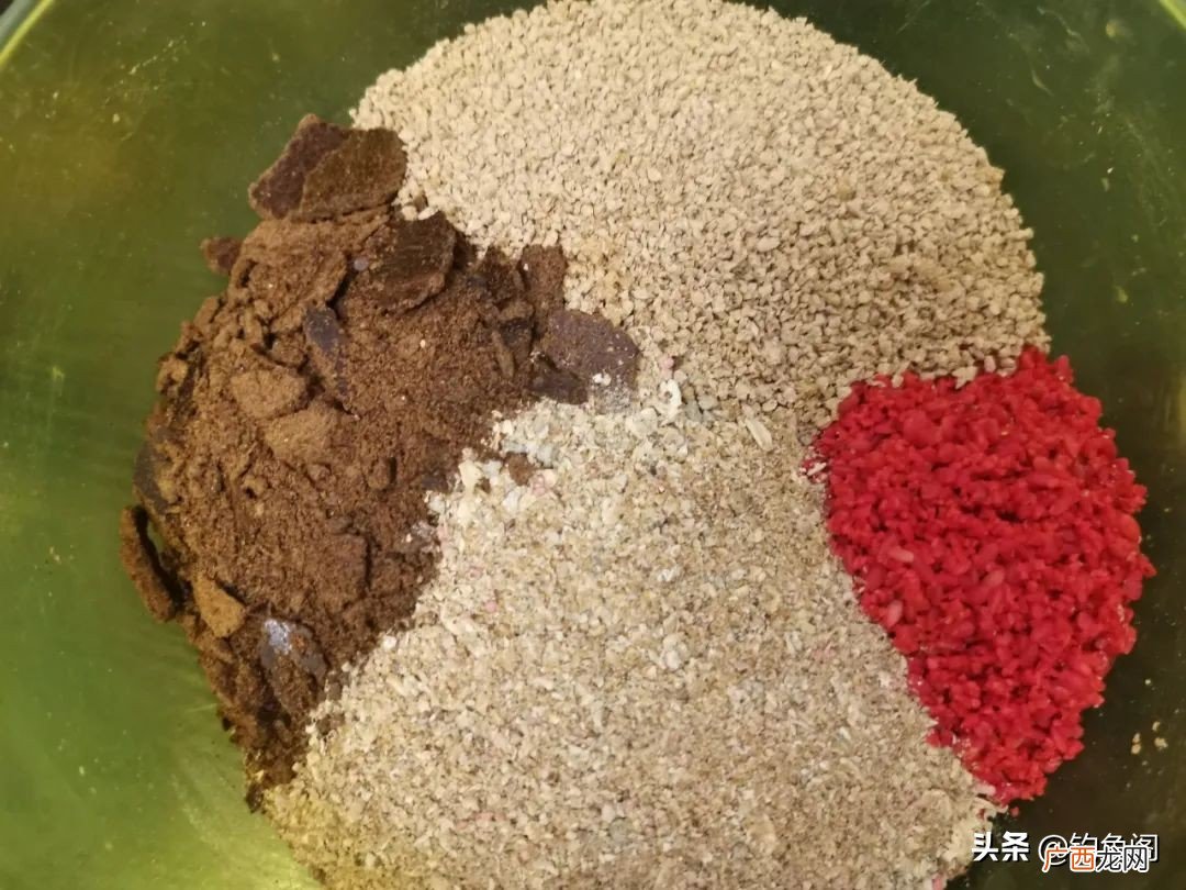 四种鲤鱼最爱的窝料推荐 钓鲤鱼用什么打窝发窝快