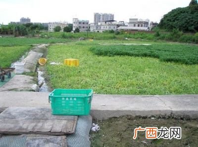 香港有农村吗,香港为什么不开发农村？