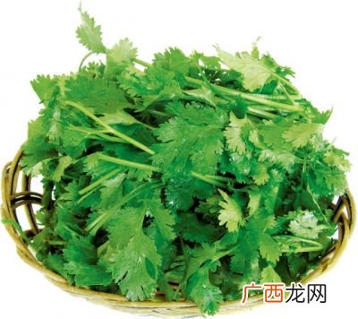 芫荽是香菜吗,芫荽就是香菜？
