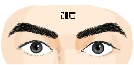 男人富贵眉毛看相图解 男人什么眉毛最旺财