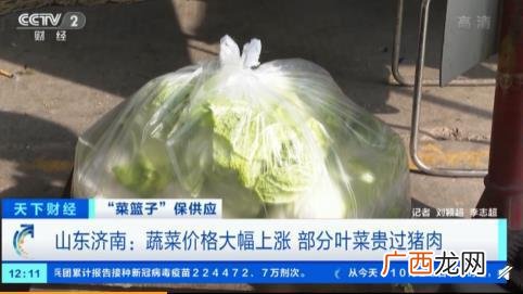 市民高呼:蔬菜价格大涨部分叶菜贵过猪肉,未来高价位可能持续上涨