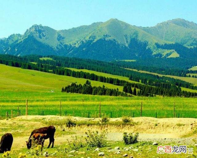 乌鲁木齐属于哪个疆,乌鲁木齐是南疆还是北疆？