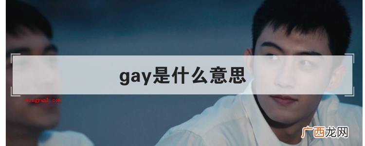 简略回应gay既可以作专有名词 gay是什么意思