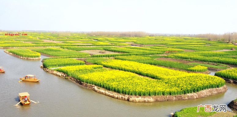 芒种节气的含义:芒种字面意思 芒种节气的含义是什么？