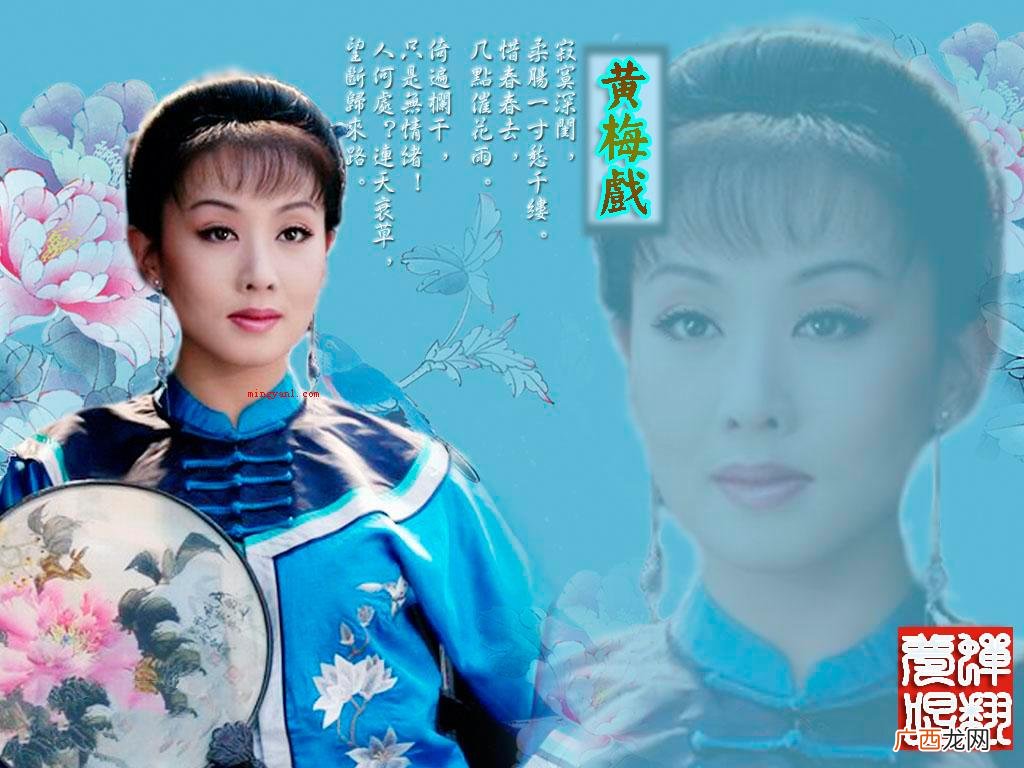 湖北黄梅梅戏流布于安徽安庆市、湖北豫剧 黄梅戏最早产生在湖北的什么地方？
