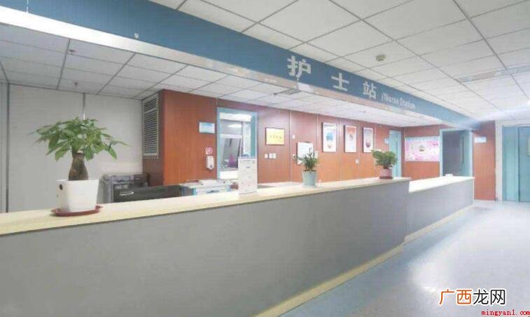 特需号是什么意思