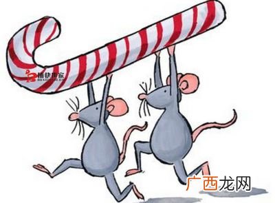怎样防止老鼠,防鼠方法大全？