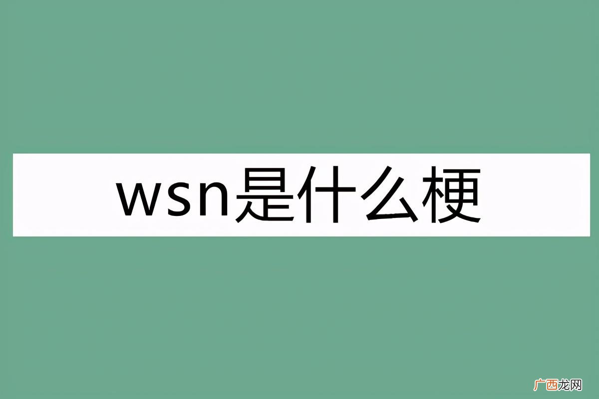 网络用语wsn在饭圈是什么意思 wsn是什么梗