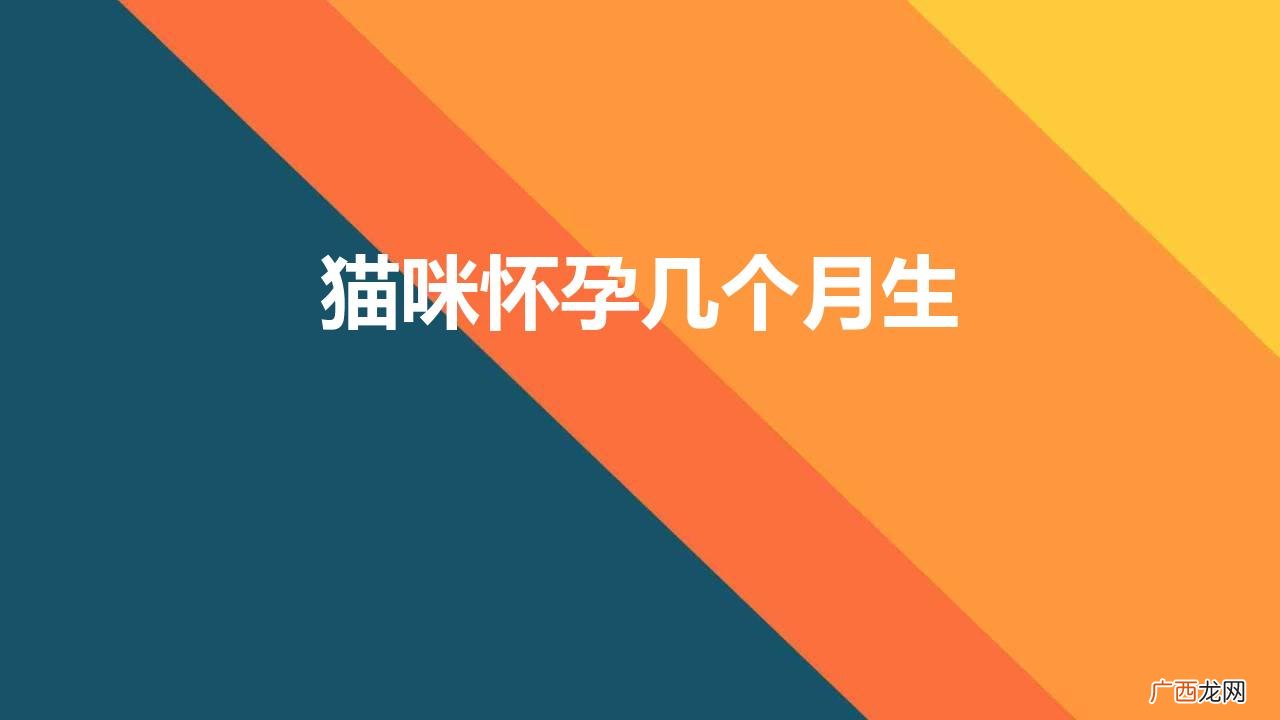 猫咪怀孕几个月生孩子 猫咪怀孕几个月生
