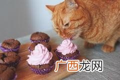 猫可以吃蛋糕吗,猫咪能吃蛋糕胚子吗？