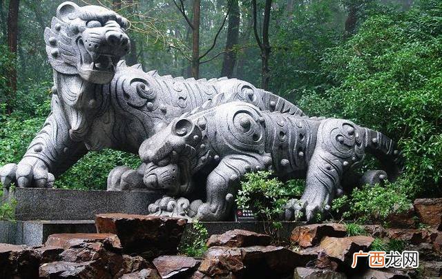中国五大名泉有哪些,不同的山泉水有什么区别？