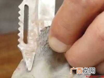剥皮鱼怎样剥皮