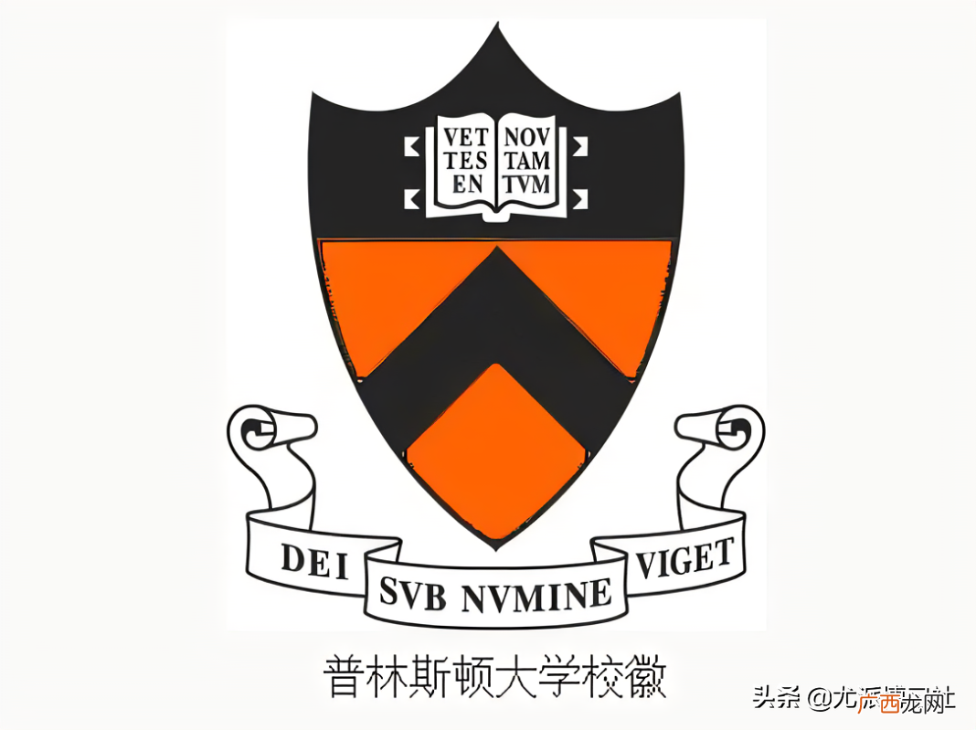 位于美国新泽西州 普林斯顿大学在美国哪个城市