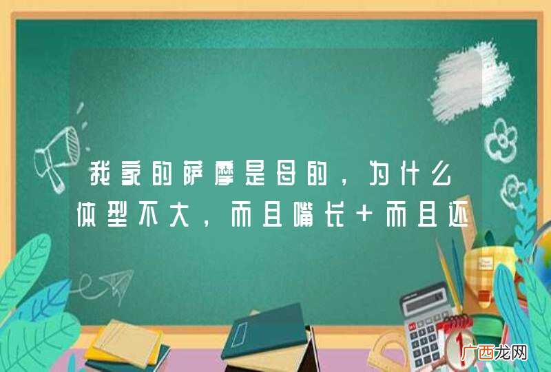 我家的萨摩是母的，为什么体型不大，而且嘴长 而且还细 难道是不纯的过。