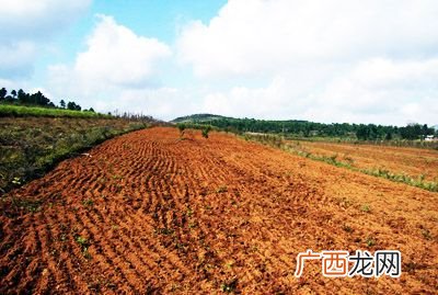 种地和耕地什么意思,种植大户补贴与地力补贴区别？