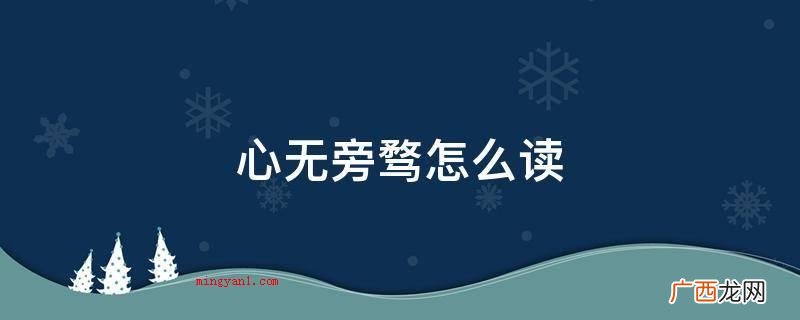 形容想法集中化,全神贯注 心无旁骛怎么读