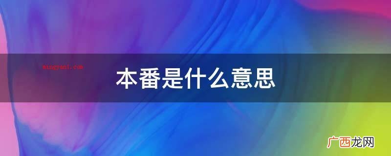 日本红灯区是法律法规容许的 本番是什么意思