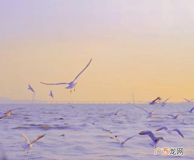深圳值得去玩的免费景点攻略 深圳十大免费景点路线推荐