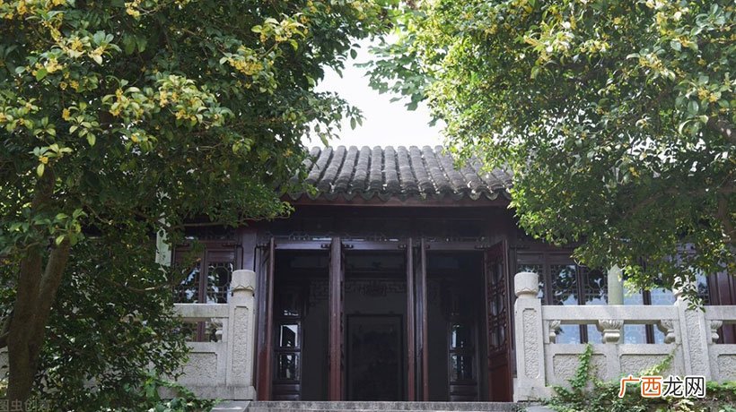 大门前栽桂花，出门遇贵人 门前种桂花树风水好吗
