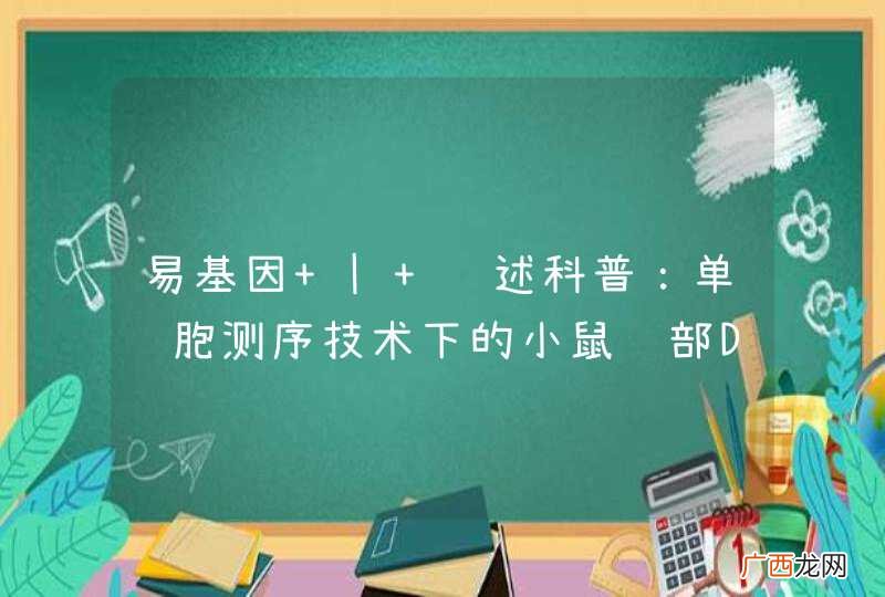 易基因 | 综述科普：单细胞测序技术下的小鼠脑部DNA甲基化图谱