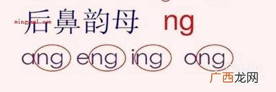 单韵母、鼻韵母操作方法 韵母有哪些?单复韵母有哪些