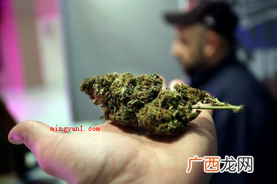 誓爱你利用数字的谐音来表达爱意 420是什么意思？