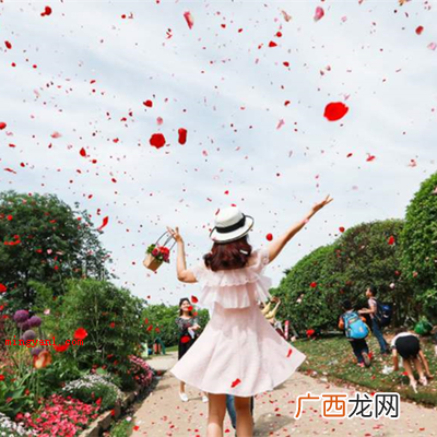誓爱你利用数字的谐音来表达爱意 420是什么意思？