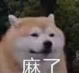 表情包图中的小狗做出了心力憔悴的神情 麻了是什么意思