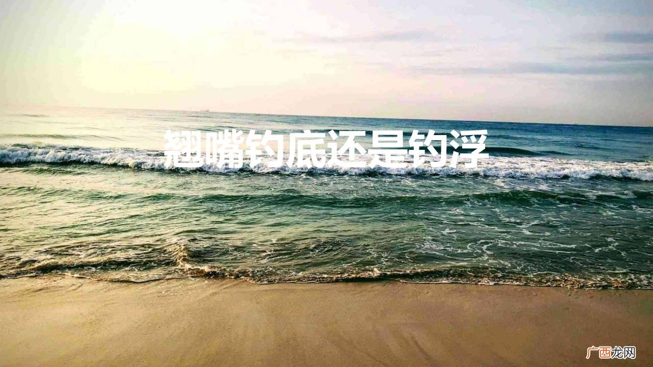 垂钓翘嘴有什么技巧方法 翘嘴钓底还是钓浮中鱼率高