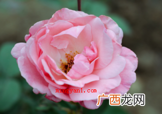 出于安全考虑儿童不宜坐在汽车的哪个位置 蚂蚁庄园12月2日答案介绍