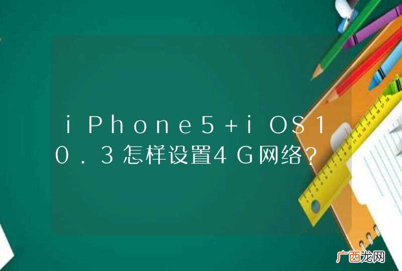 iPhone5 iOS10.3怎样设置4G网络？