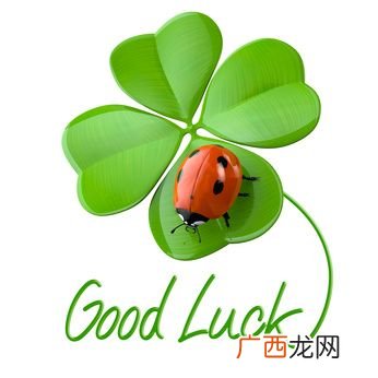 幸运四叶草代表什么,四叶草代表幸运！那五叶草代表什么？