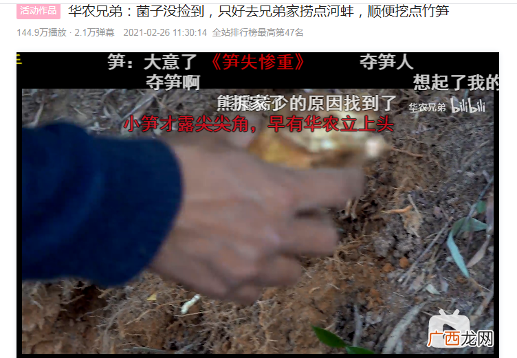 笋子:你这个是要将我祖宗十八代都挖了? 笋失惨重是什么意思