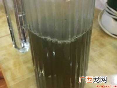 铁皮石斛怎么加工