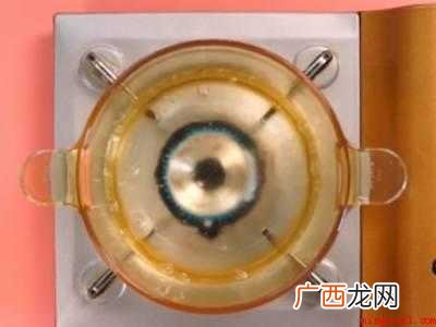 野生海参如何泡发