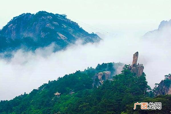 王安石登飞来峰表达的意思 不畏浮云遮望眼全诗及译文