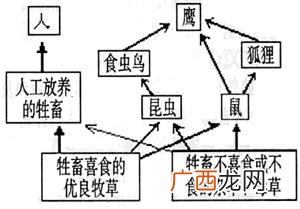 易地保护和就地保护的区别,动物迁地保护的方法？