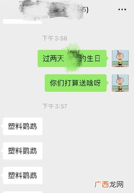 2021年生日要什么礼物? 塑料鹦鹉是什么意思