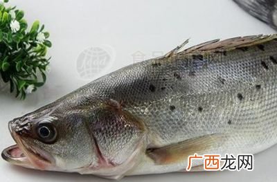 鲈鱼是海鱼吗,鲈鱼是淡水鱼吗还是海鱼?