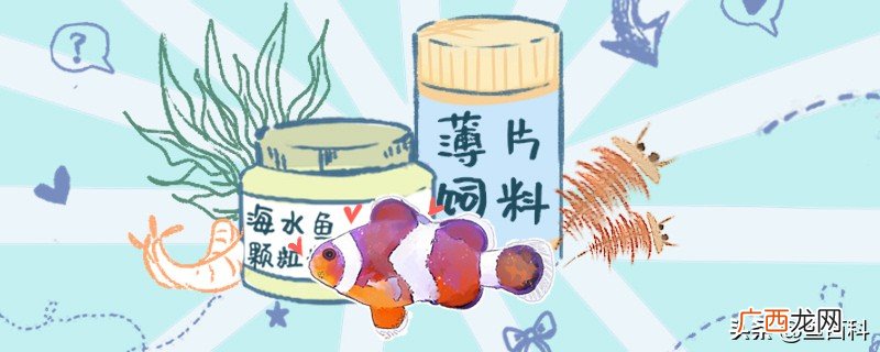 小鱼喂食频率多高是最合适的 小鱼几天喂一次鱼食