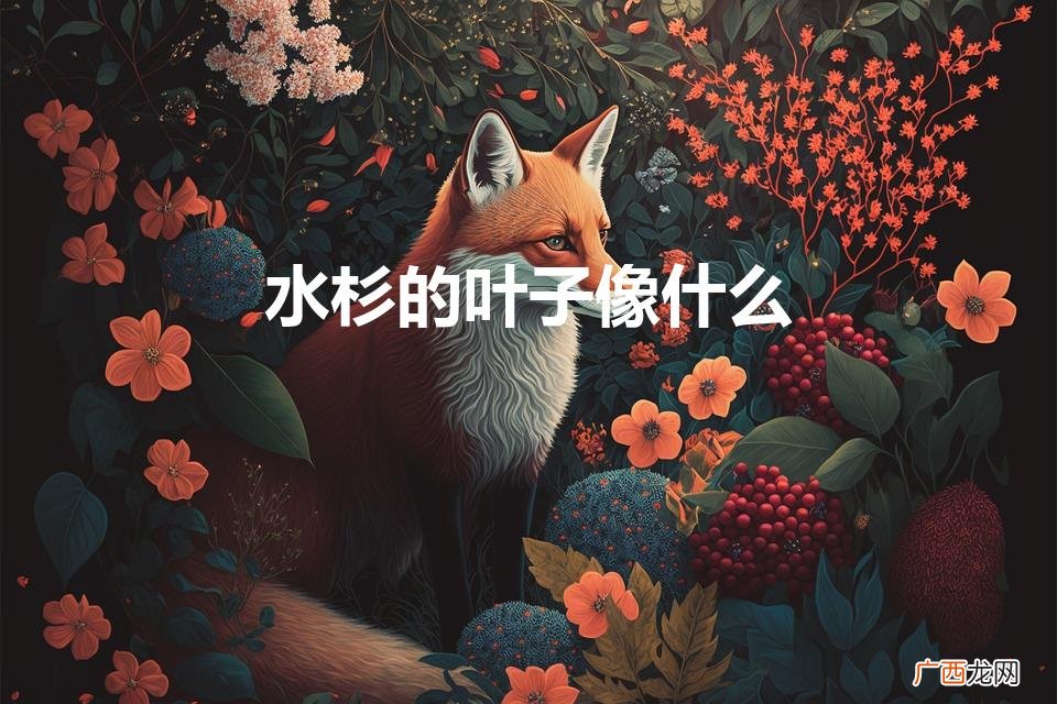 水杉的叶子像什么（松树的叶子像什么)